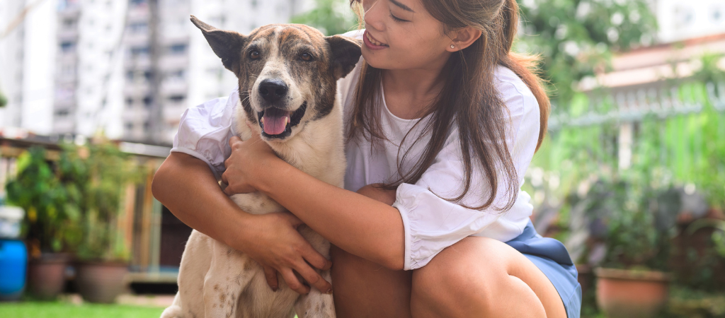 Dicas Importantes sobre Animais de Estimação em Condomínios